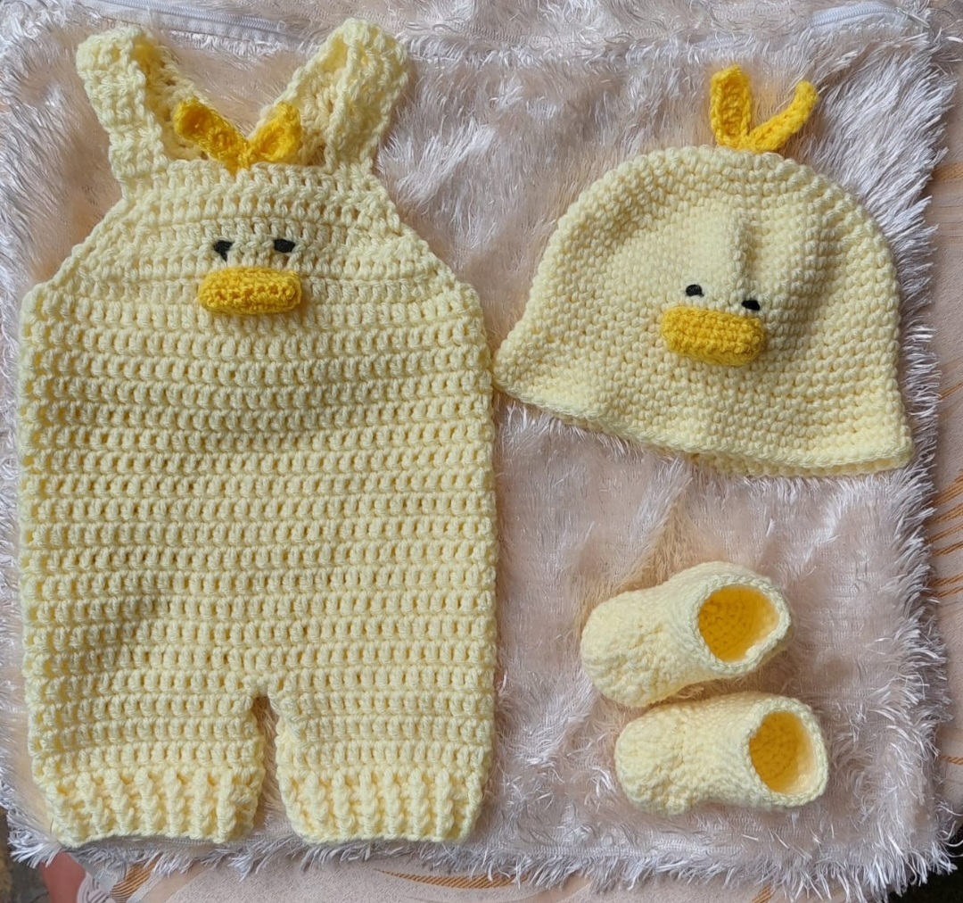 Conjunto de pollito